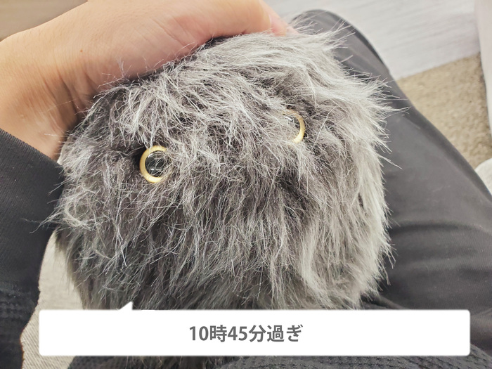 最終値下げ 入手困難 ネモフ 睡眠サポート ロボット モフモフの睡眠サポート癒しロボット「ネモフ」新モデルの予約
